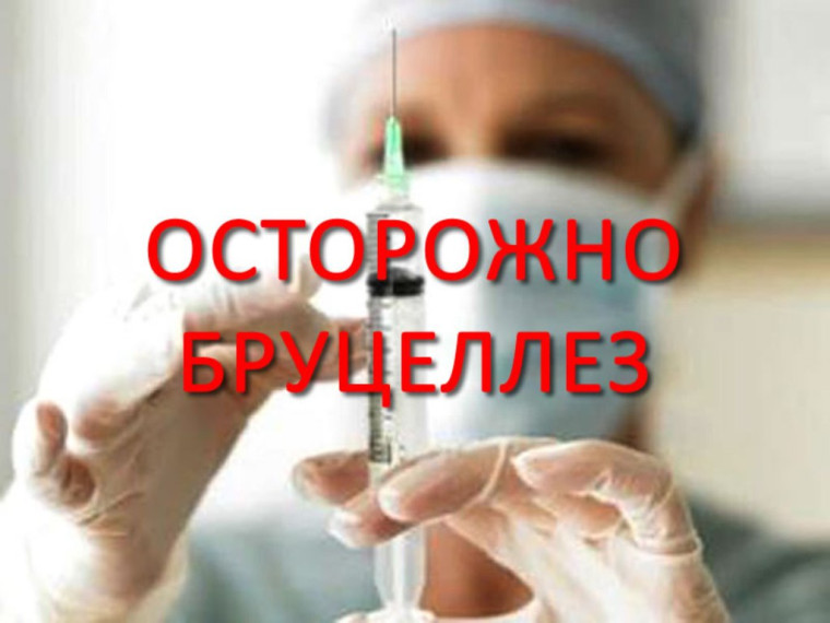 Внимание, бруцеллёз! Внимание, бруцеллёз!
