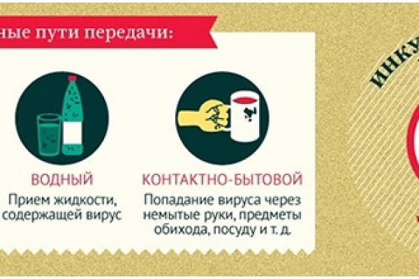 Острые кишечные инфекции — Легче предупредить, чем лечить!