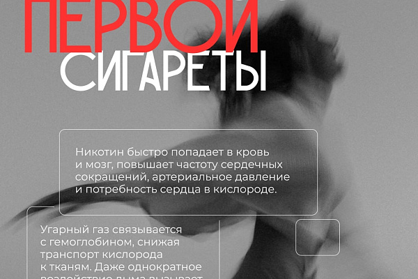 Ежегодно более 8 миллионов жизней по всему миру обрываются из-за табачного дыма
